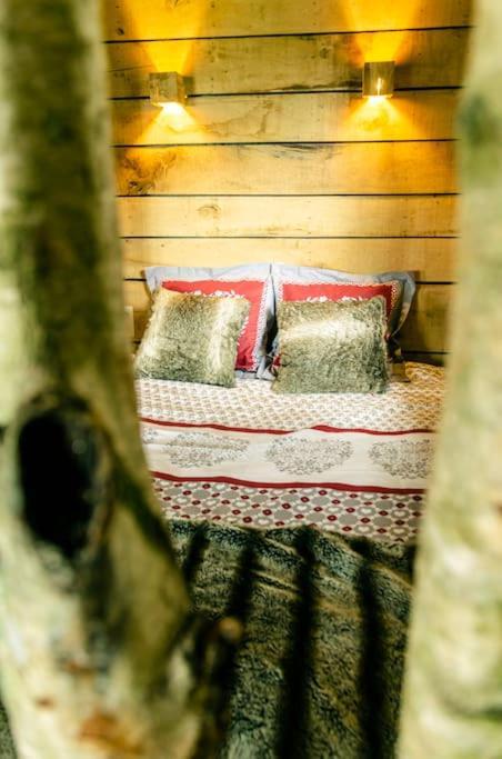 La Cabane Du Cerf Et Son Sauna Attre Exterior foto